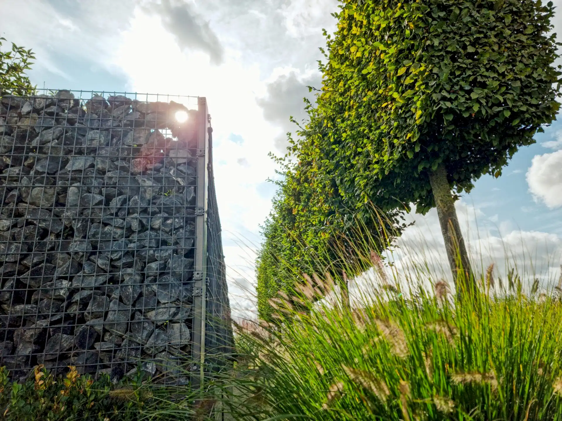 Photo gabions palissés Photo paysage