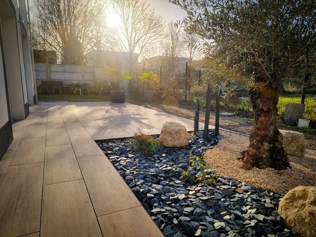 Jardin moderne avec terrasse ensoleillée et olivier falize et blondel