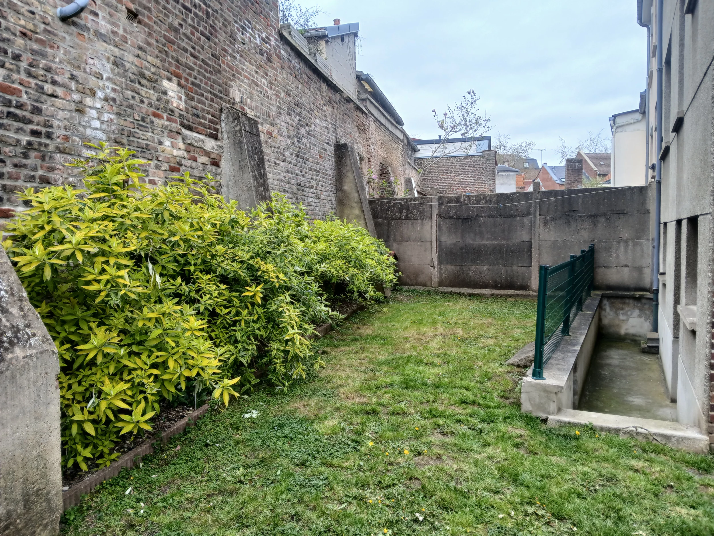 Left Image