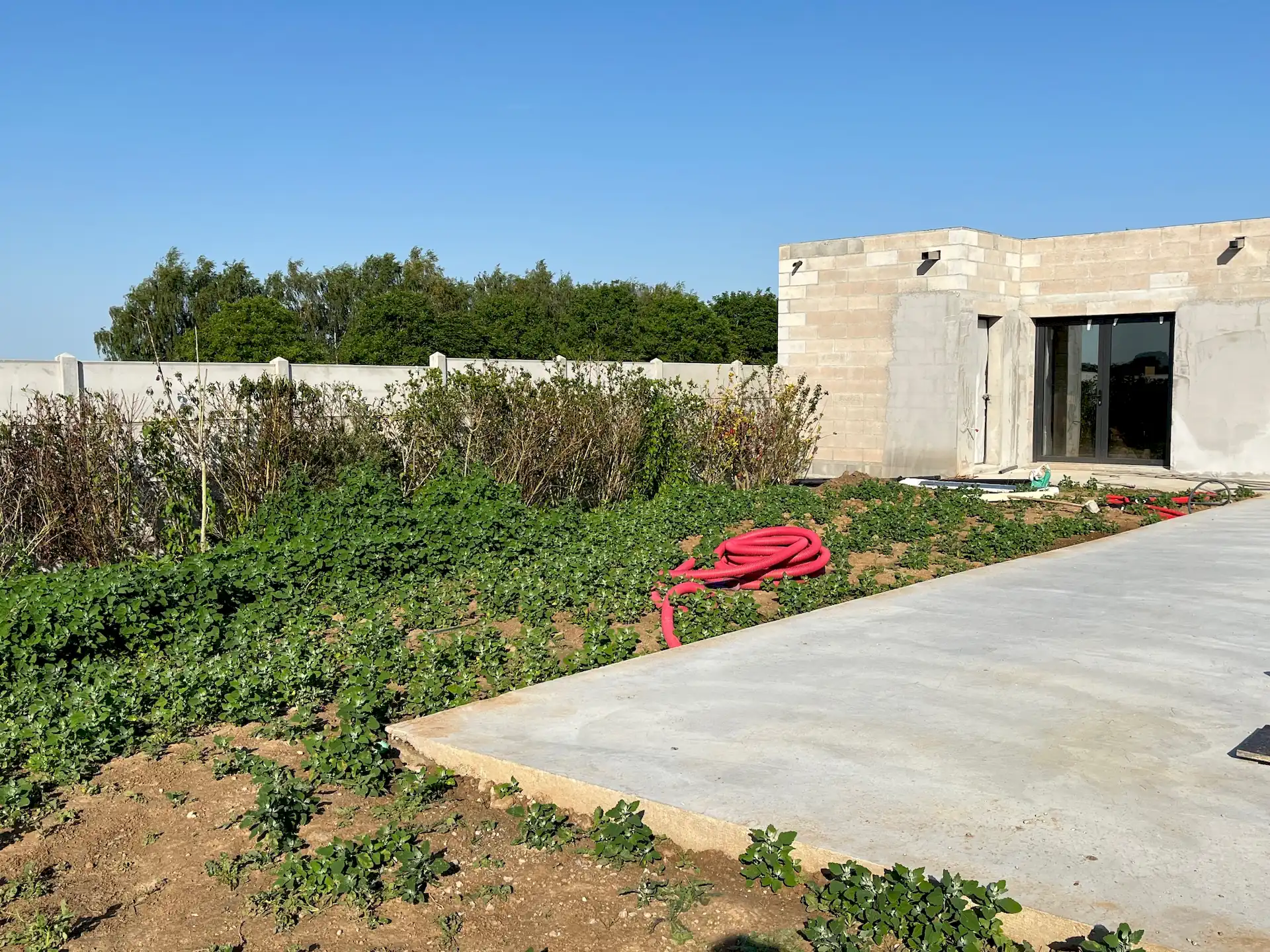 Left Image